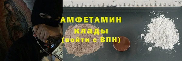 шишки Каменка