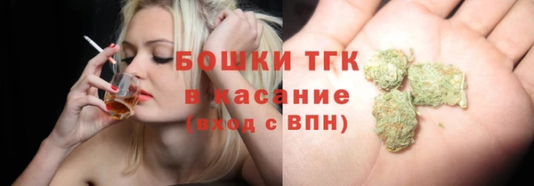 шишки Каменка