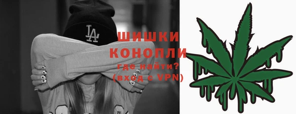 бошки Каменногорск