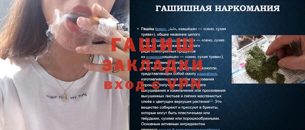 шишки Каменка