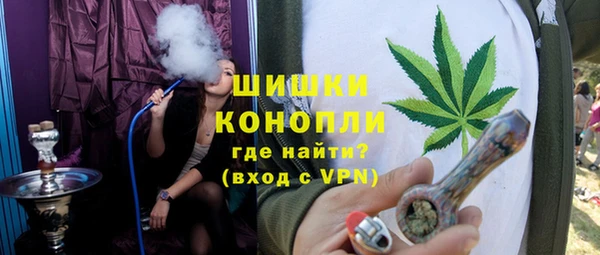 шишки Каменка
