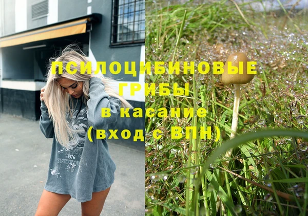 бошки Каменногорск