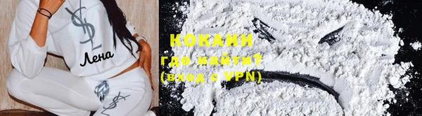 шишки Каменка